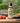 Gourmet Duck Fat Spray